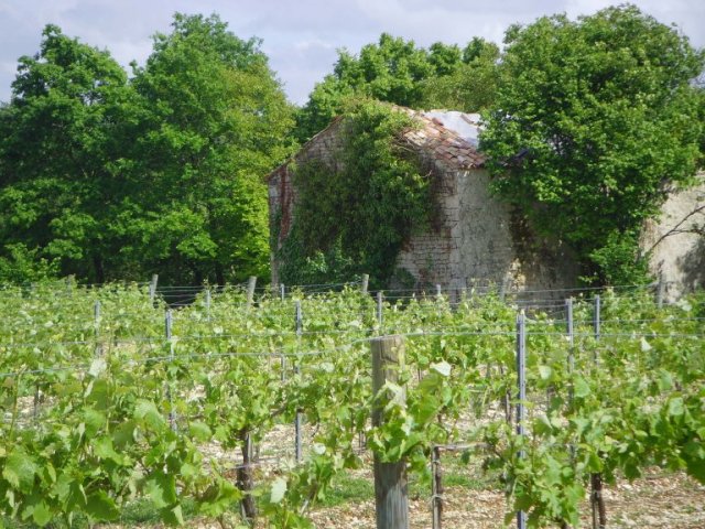 vue de sigogne1